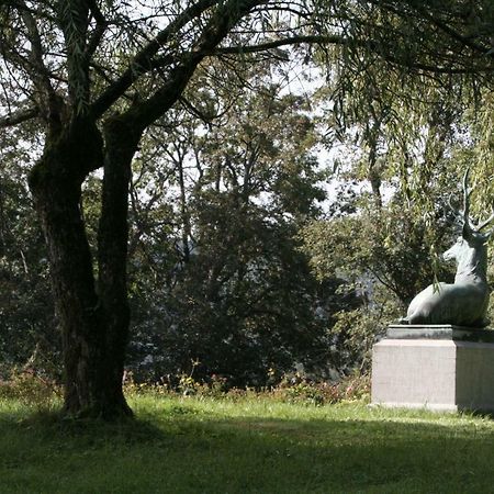 바트라아스페 Schloss Wittgenstein 아파트 외부 사진